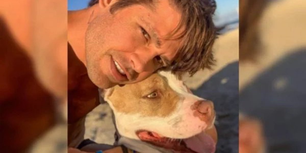 Vizinhos reclamam de ataques causados pela cadela do ator Dado Dolabella