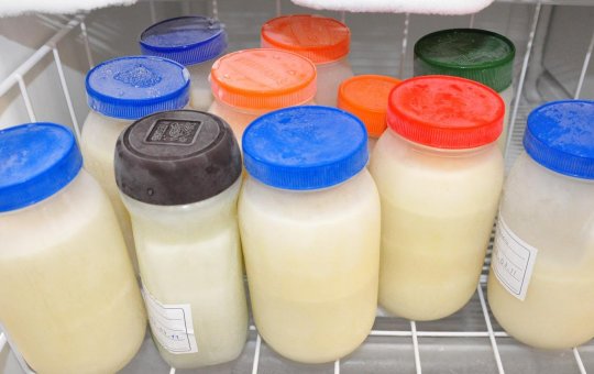 Com baixo estoque, Bancos de Leite Humano (BLH) de Salvador precisam de doadoras