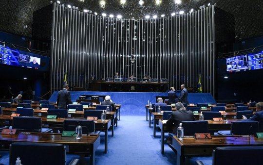 Senado aprova legislação para cães de apoio emocional