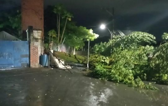 Árvore cai e derruba muro e poste na Mata Escura, em Salvador