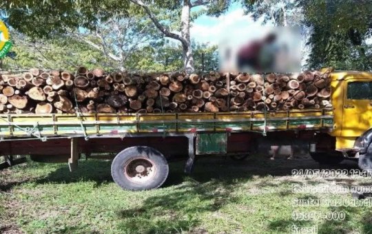 Motorista é detido por transporte ilegal de madeira nativa em Porto Seguro