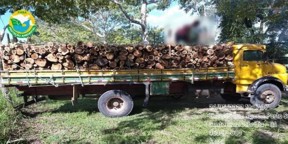 Motorista é detido por transporte ilegal de madeira nativa em Porto Seguro
