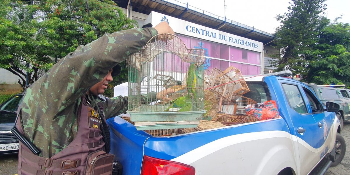 104 aves são resgatadas e 11 comerciantes ilegais são presos, no Largo do Tanque