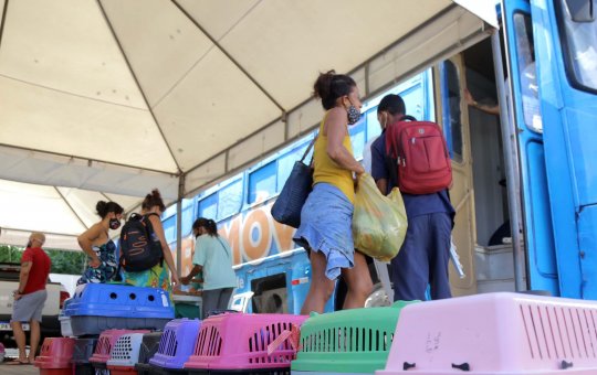 Castramóvel realiza atendimentos no Parque da Cidade a partir desta segunda (6)