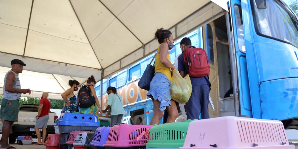 Castramóvel realiza atendimentos no Parque da Cidade a partir desta segunda (6)