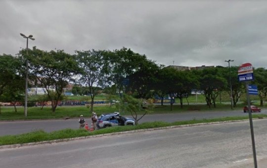 Árvore cai na região do Ogunjá, em Salvador