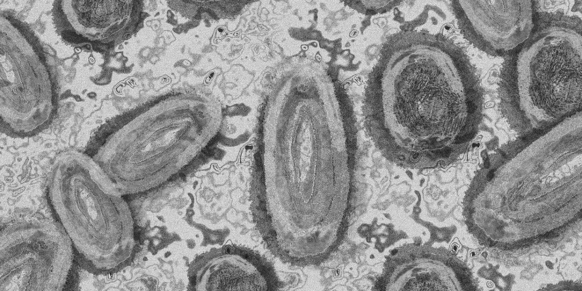 Confirmado primeiro caso de varíola dos macacos no Brasil