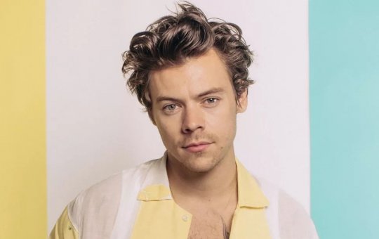 Vídeo: Fã de Harry Styles cai de altura de 10 metros em show