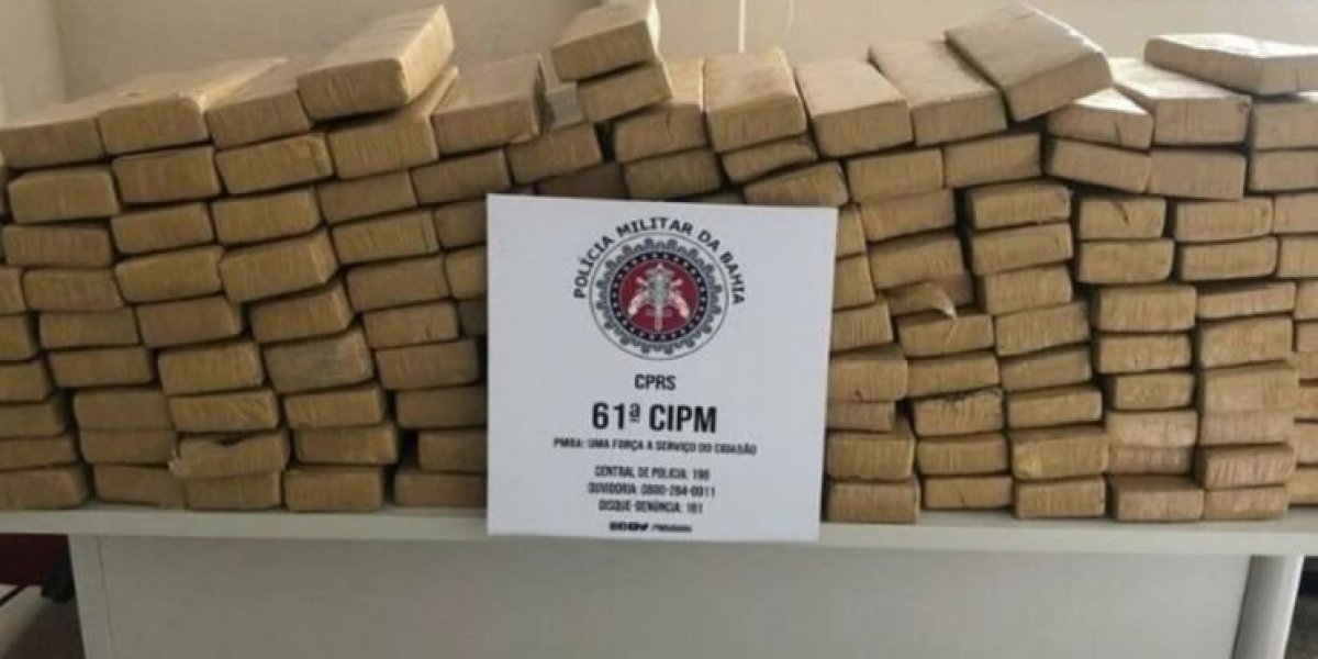 150 kg de maconha são apreendidos no município de Ubaitaba, no sul da Bahia