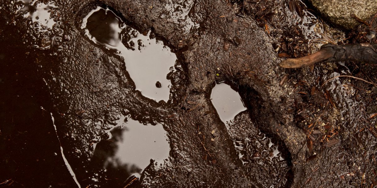 Aracaju: Suspeito de cometer assalto morre preso na lama durante fuga