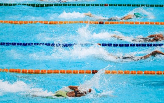 Natação barra atletas trans que passaram por puberdade de competições femininas