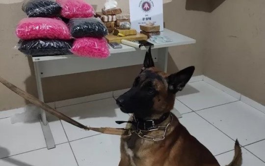 Cerca de 14 kg de drogas são encontradas em imóvel na cidade de Porto Seguro