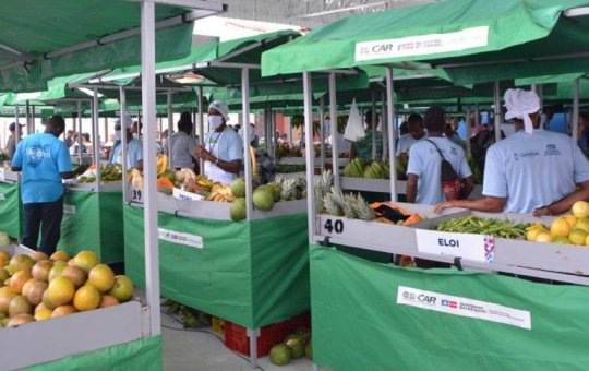 Governo da Bahia investe R$ 6 milhões na agricultura familiar do Baixo Sul