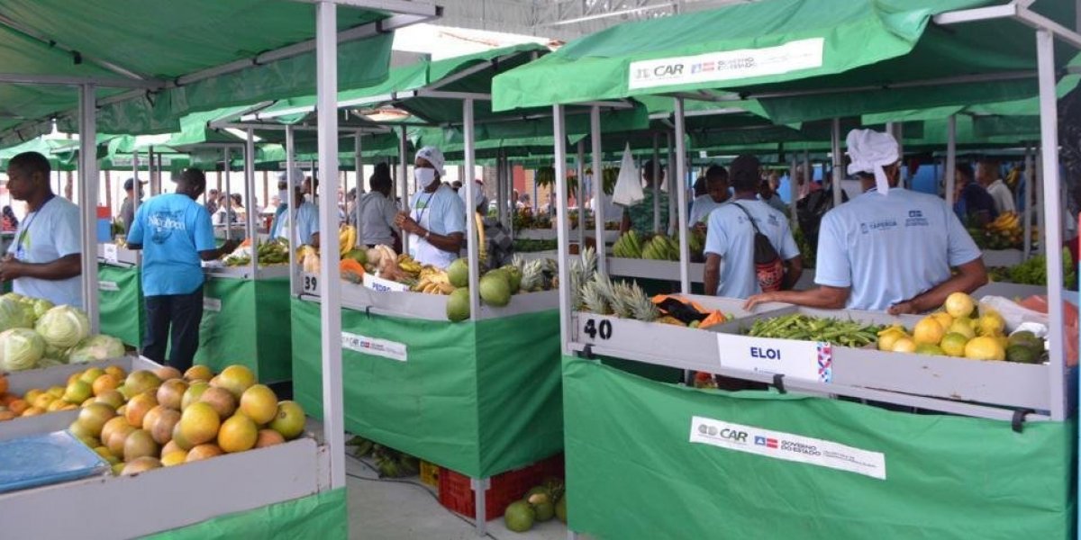 Governo da Bahia investe R$ 6 milhões na agricultura familiar do Baixo Sul