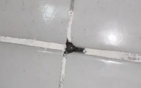 Diretora é afastada após alunos acharem câmera em banheiro de escola em SP