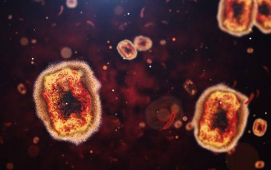 Casos de varíola dos macacos chegam a 76 em todo o país