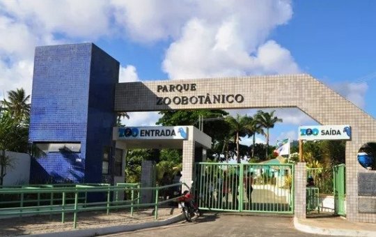 Zoológico de Salvador ganha taxa de visitação após concessão