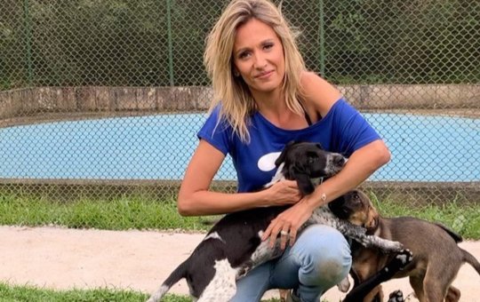 Luísa Mell resgata cachorro em mansão da "Mulher da Casa Abandonada"