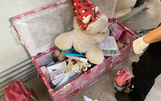 Tia é presa acusada de abusar da sobrinha, filmar crime e vender vídeos