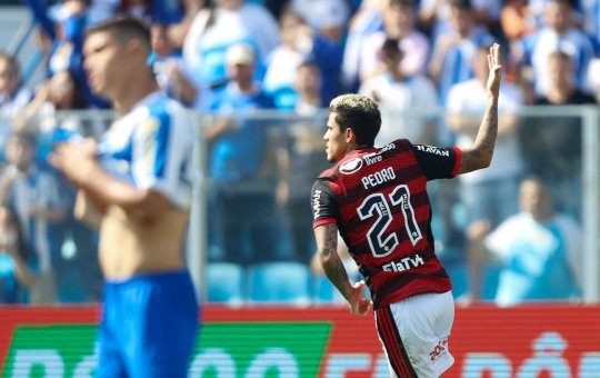 Série A: De virada, Flamengo derrota o Avaí com dois gols de Pedro na Ressacada