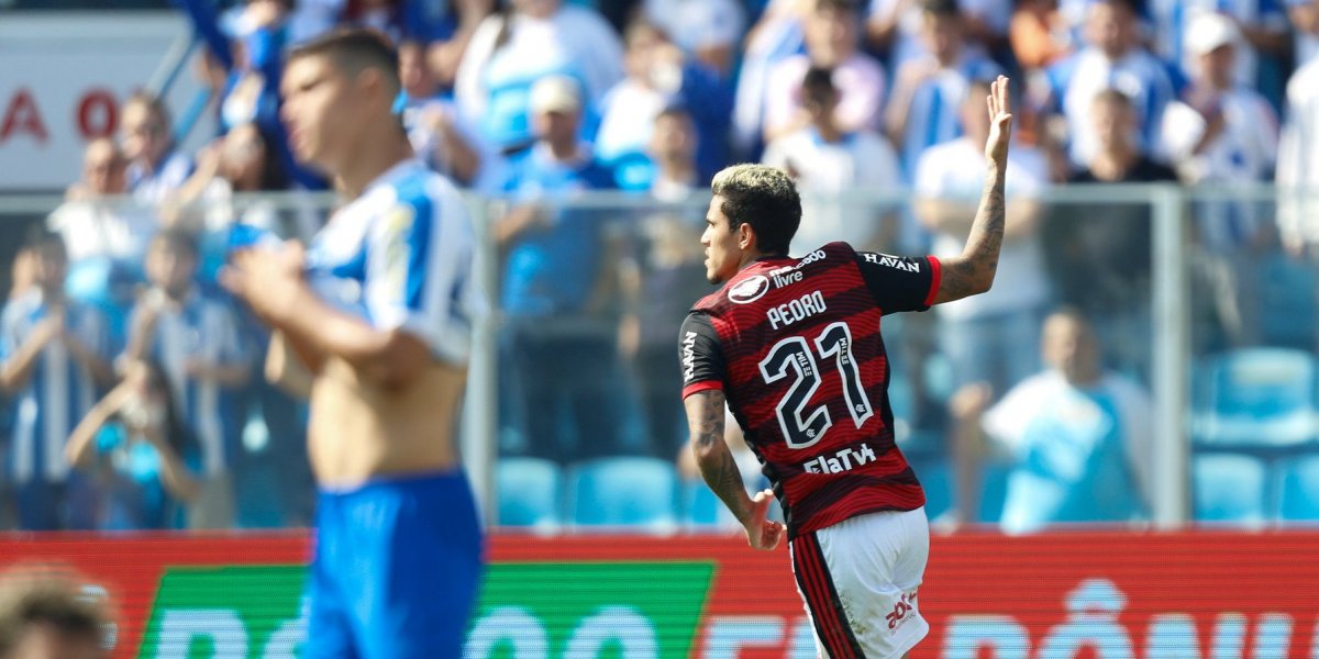 Série A: De virada, Flamengo derrota o Avaí com dois gols de Pedro na Ressacada