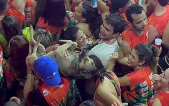 "Anjo da folia"! Folião enfrenta multidão para salvar cachorro no Fortal 2022