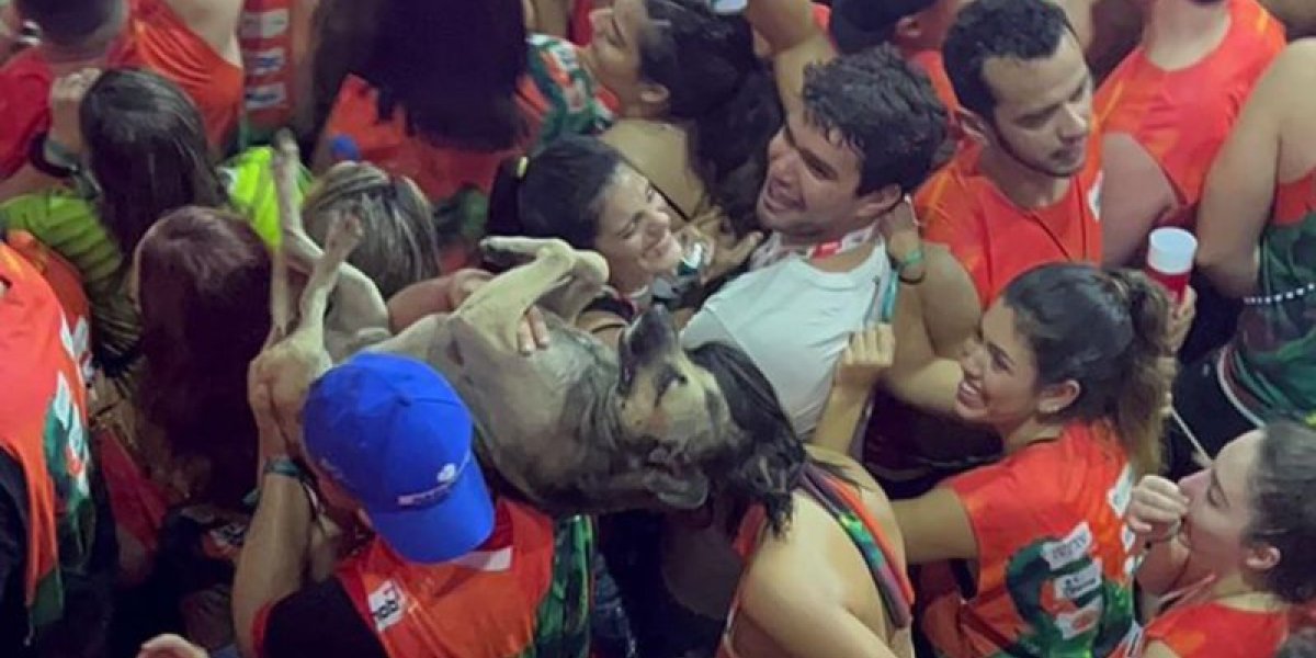 "Anjo da folia"! Folião enfrenta multidão para salvar cachorro no Fortal 2022