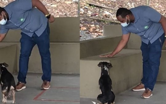 Profissionais da Estação da Lapa são orientados sobre cuidados com pets