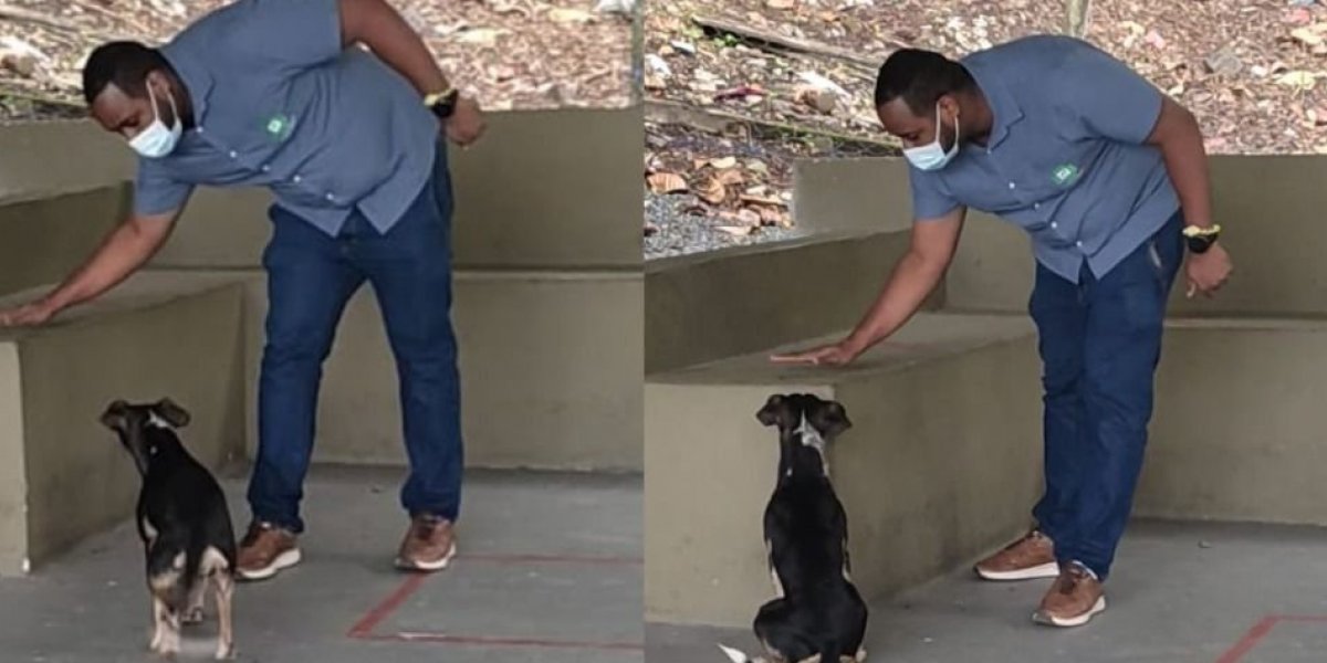 Profissionais da Estação da Lapa são orientados sobre cuidados com pets