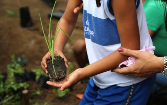 Política ambiental será implantada nas escolas da rede municipal de Salvador