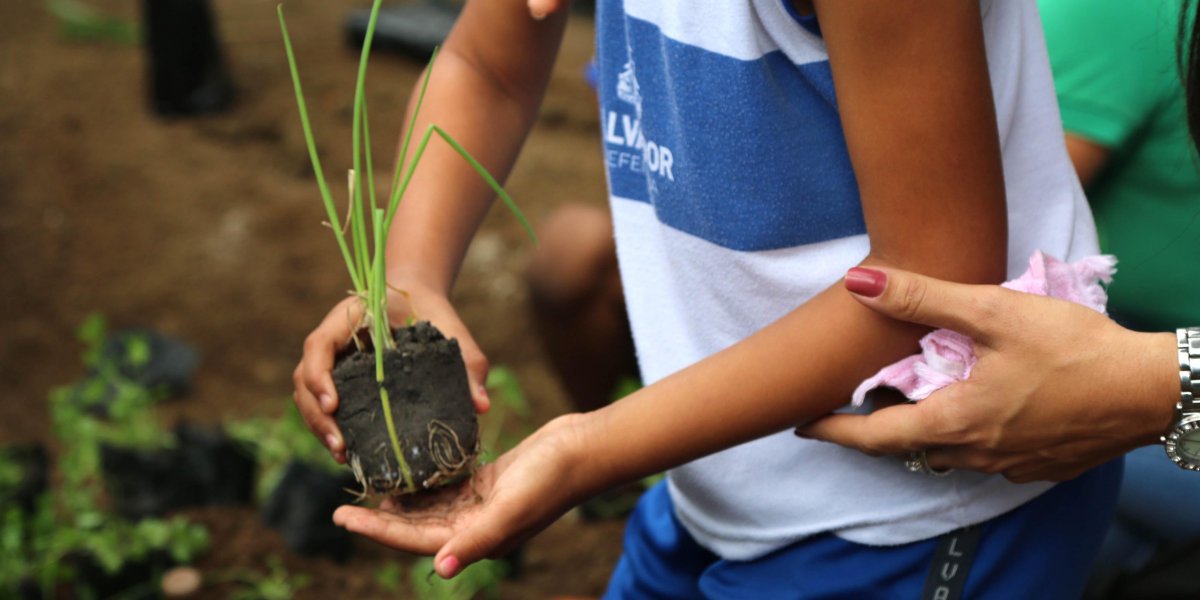 Política ambiental será implantada nas escolas da rede municipal de Salvador