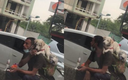 Puro amor! Vendedor ambulante divide comida com seu cachorro e cena viraliza