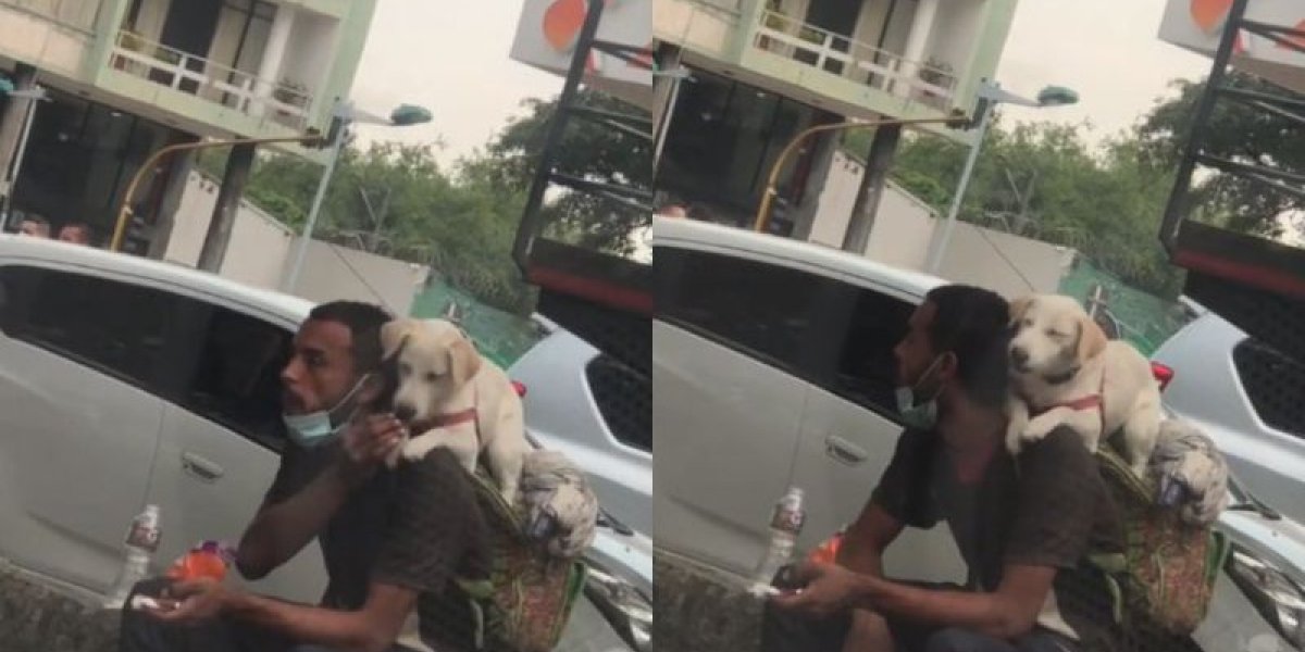 Puro amor! Vendedor ambulante divide comida com seu cachorro e cena viraliza