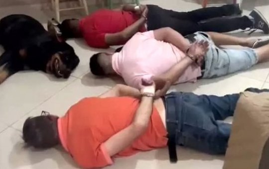 Vídeo: Cachorro "se rende" à polícia junto com suspeitos