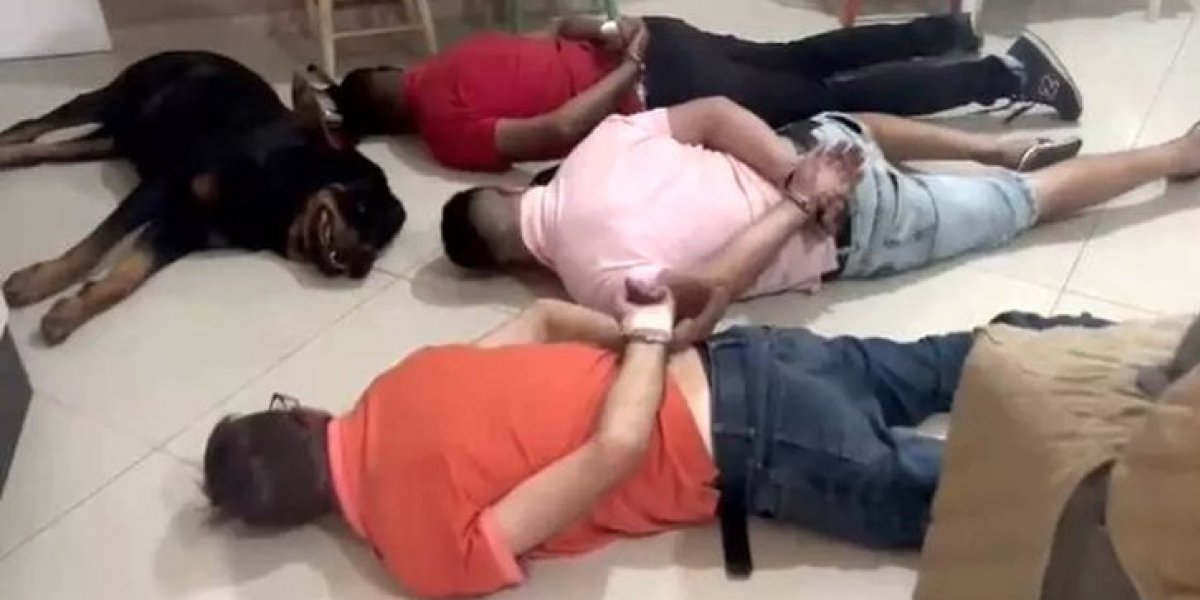 Vídeo: Cachorro "se rende" à polícia junto com suspeitos