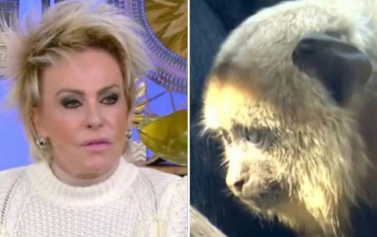 Responsável por 'erro' enquanto Ana Maria Braga falava de racismo é demitido