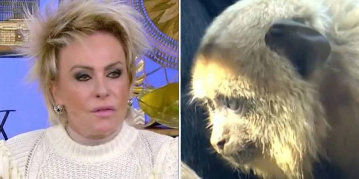 Responsável por 'erro' enquanto Ana Maria Braga falava de racismo é demitido