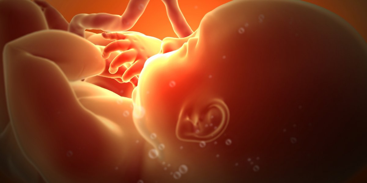 Feto é encontrado na Avenida San Martin, em Salvador