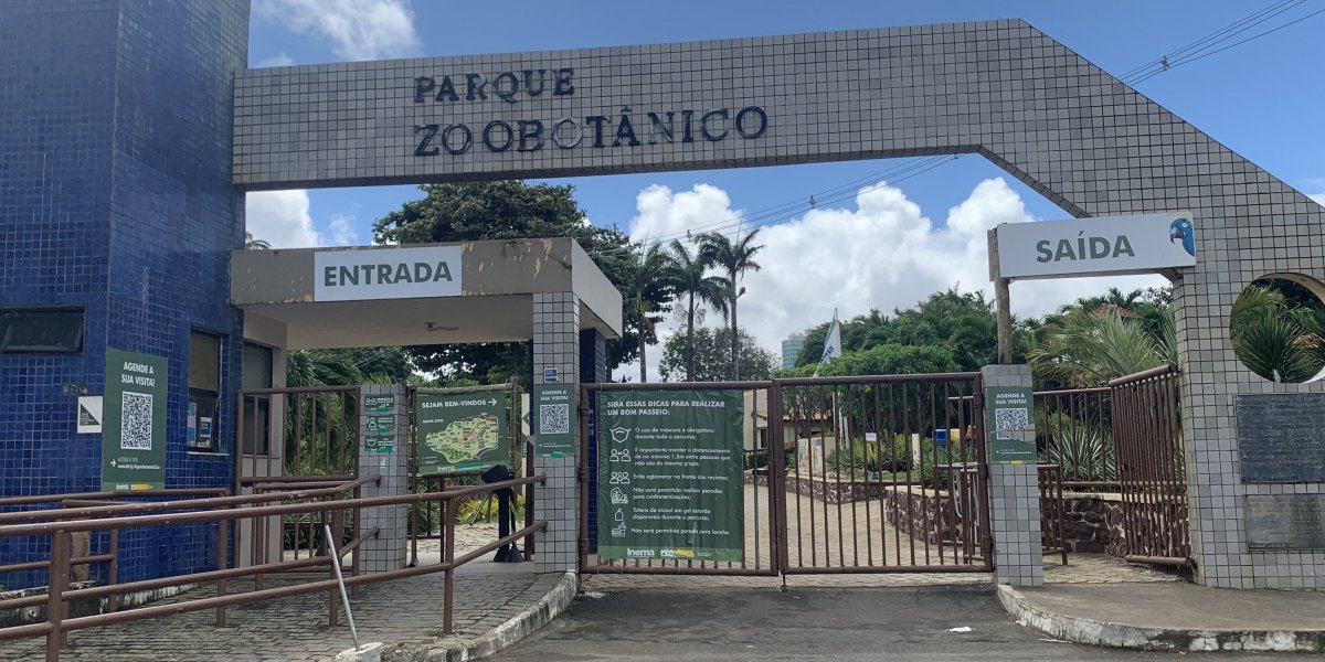 Concessão do Zoológico de Salvador: entenda como funcionará o acesso pago