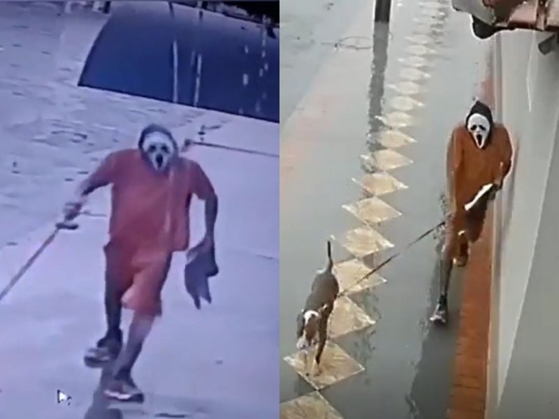 Homem se veste de "Pânico", anda pelas ruas com pitbull e assusta moradores