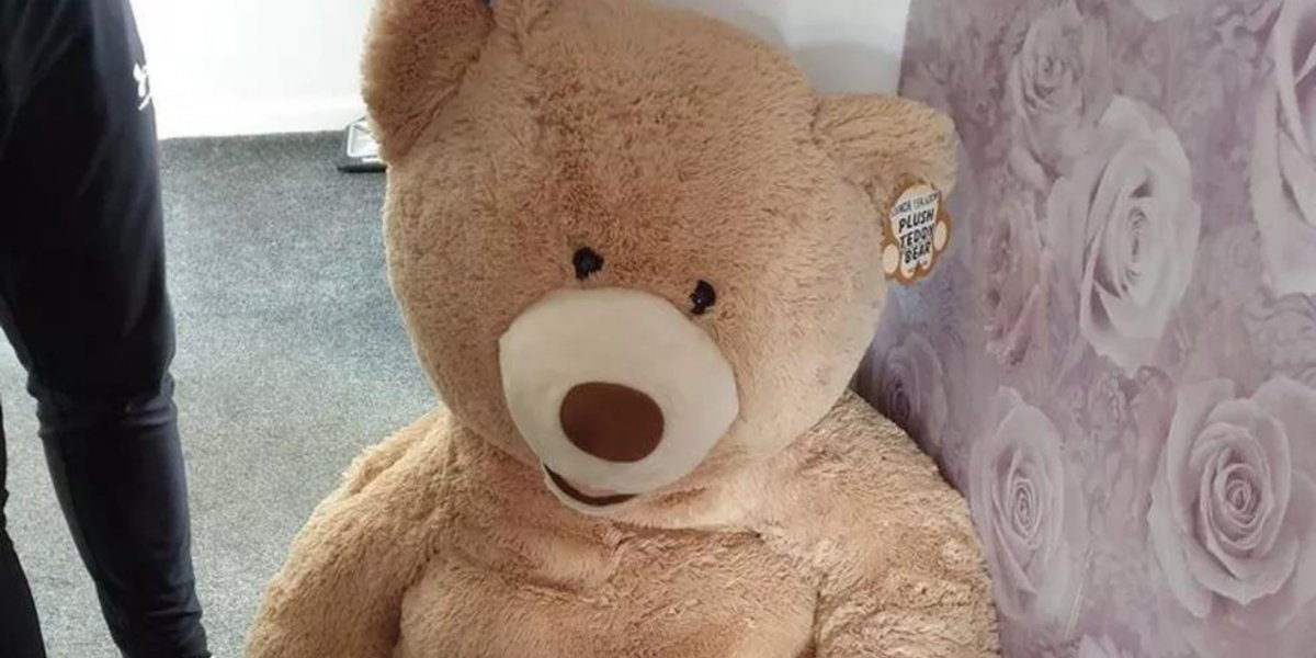 Após roubar carro e fugir, jovem é encontrado dentro de urso de pelúcia