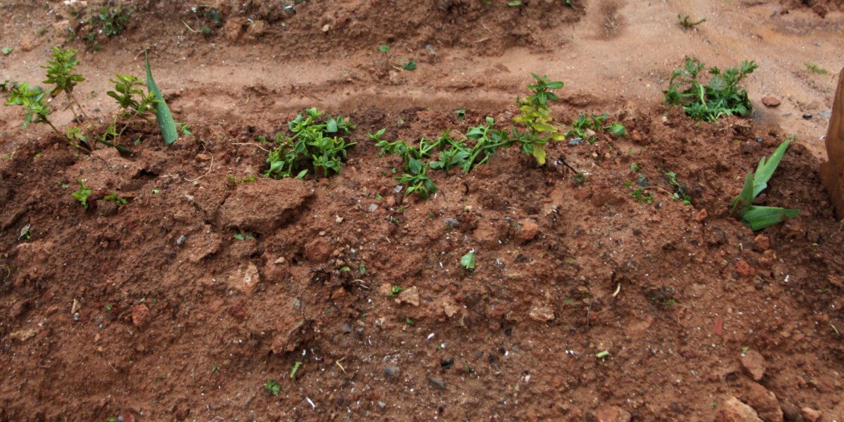 Suspeito de matar esposa e enterrar corpo em quintal é procurado pela polícia