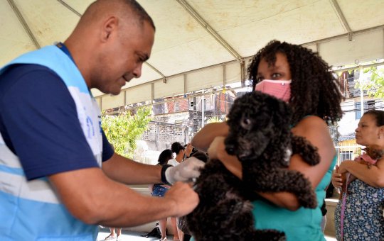 Vacinação antirrábica terá sistema drive-thru neste fim de semana