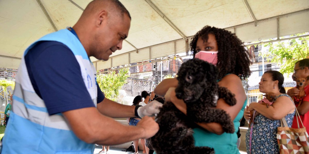 Vacinação antirrábica terá sistema drive-thru neste fim de semana
