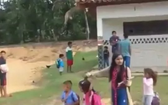 Tiroteio em aldeias indígenas assusta moradores no extremo do sul da Bahia