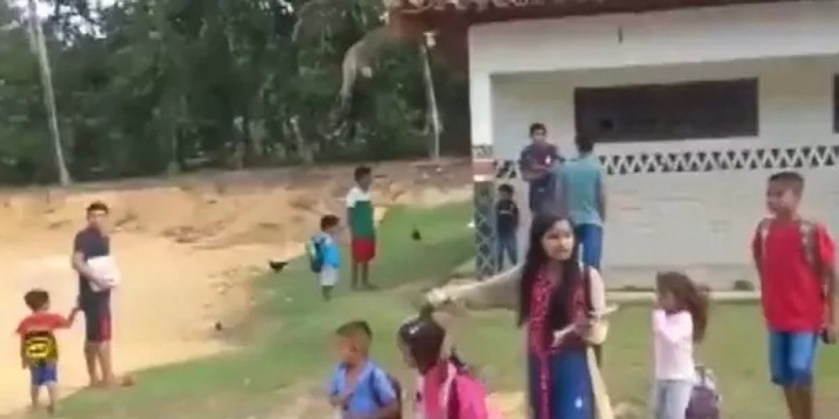 Tiroteio em aldeias indígenas assusta moradores no extremo do sul da Bahia