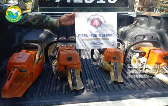 PM recupera cargas com madeiras da Mata Atlântica no sul do estado