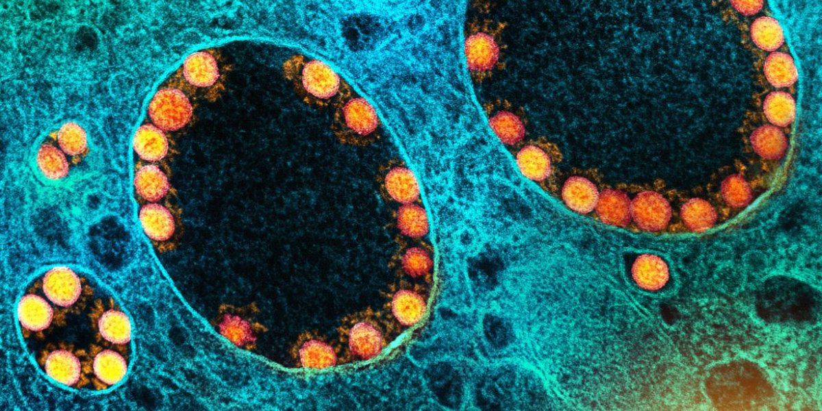 Pesquisa mostra eficácia da vitamina B12 para atenuar sintomas da Covid-19