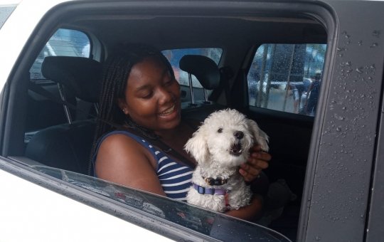 Vacinação antirrábica protegeu cerca de 4 mil animais no fim de semana