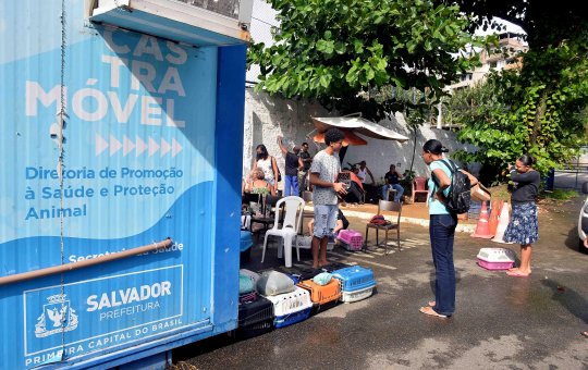 Serviço do Castramóvel na San Martin é prorrogado até 9 de setembro